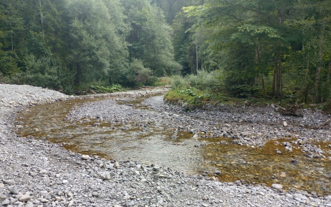Gros-Mont – Hochwasserschutz